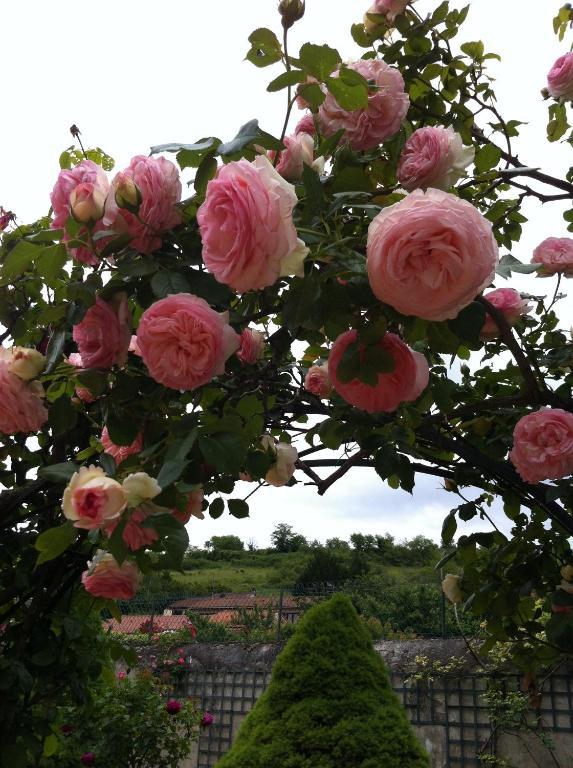 Veyre-Monton Au Fond De La Cour Bed & Breakfast エクステリア 写真